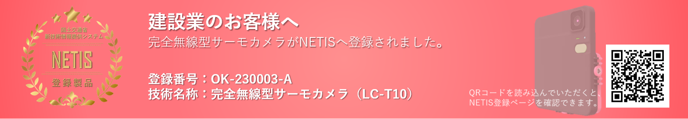 LiLz_NETIS_Logo.png