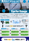 eyeforgauge